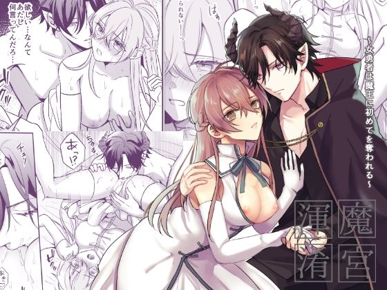 魔宮渾淆〜女勇者は魔王に初めてを奪われる〜｜d_243464