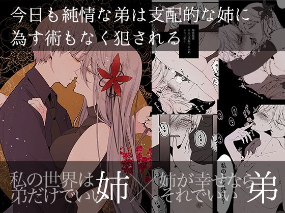今日も純情な弟は支配的な姉に為す術もなく犯●れる Re:｜d_202153