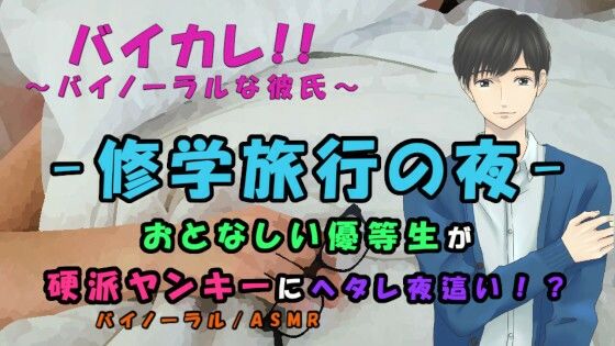 修学旅行〜弱気な優等生が一線を越える夜！ヘタレが硬派ヤンキーを夜●い！？ ASMR/バイノーラル/ボーイズラブ/ホモ/ゲイ/ヘタレ/ヤンキー/催●音声/エロボイス｜d_214386