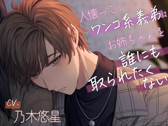 【義弟×小型ワンコ系】人懐っこいワンコ系義弟はお姉ちゃんを誰にも取られたくない〜俺、姉ちゃんのこと女の子として見てるんだ…〜｜d_367542