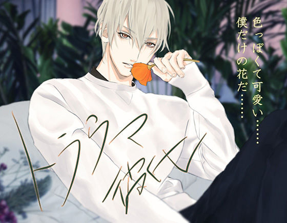 トラウマ彼氏 花井伸太｜d_429880