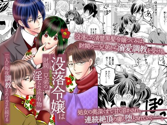 没落令嬢は財閥三兄弟の淫らな所有物〜三人に毎夜調教されイカされ続ける〜｜d_753125