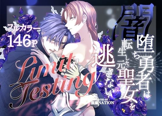 Limit Testing〜闇落ち勇者は転生した元聖女を逃さない〜｜d_760971