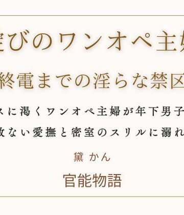 綻びのワンオペ主婦 〜終電までの淫らな禁区〜｜d_776476